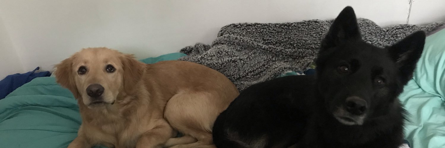 yagirlCapone's profile banner image