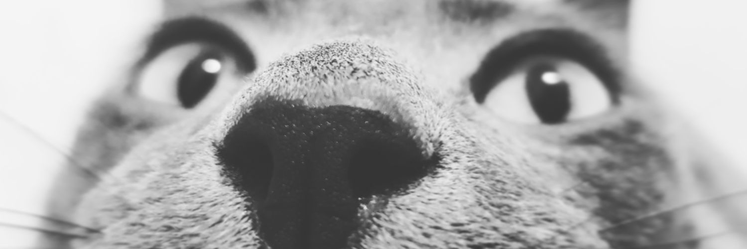 aesyr88's profile banner image