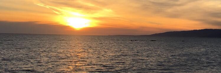 AlMurph2014's profile banner image