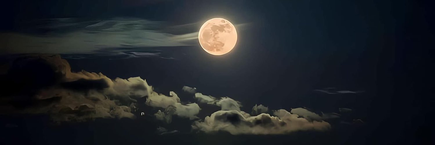 romer_bau's profile banner image