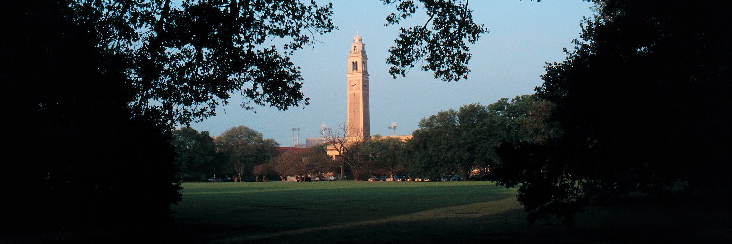 LSU's banner