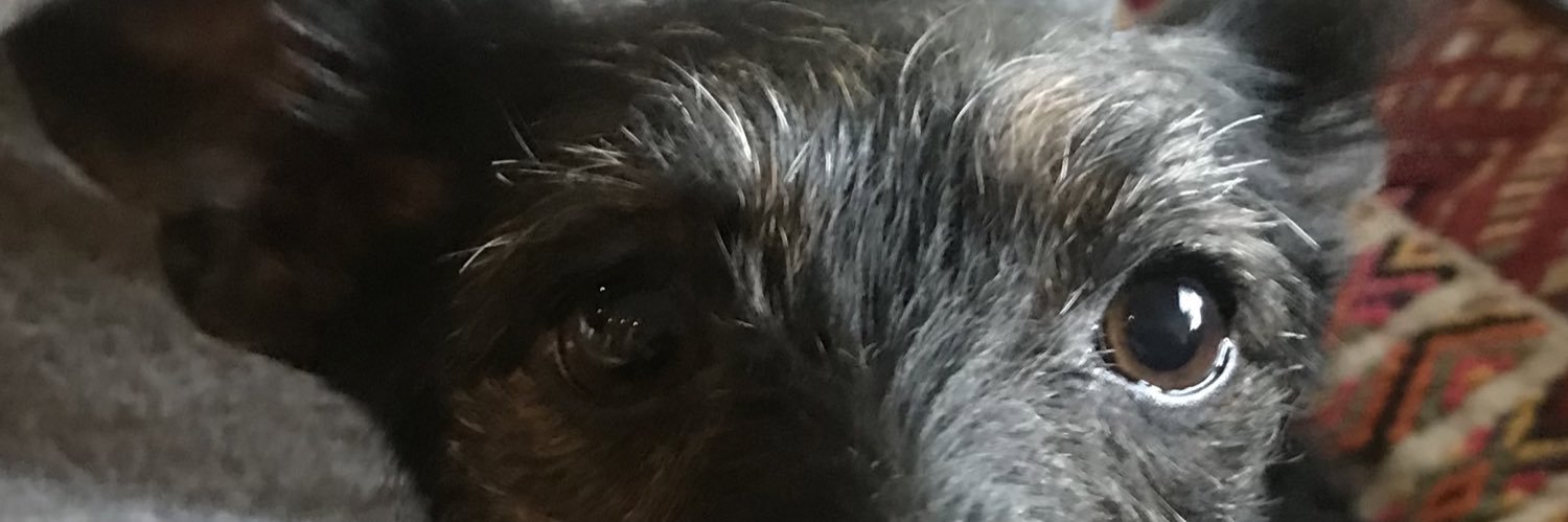 garry2rs's profile banner image