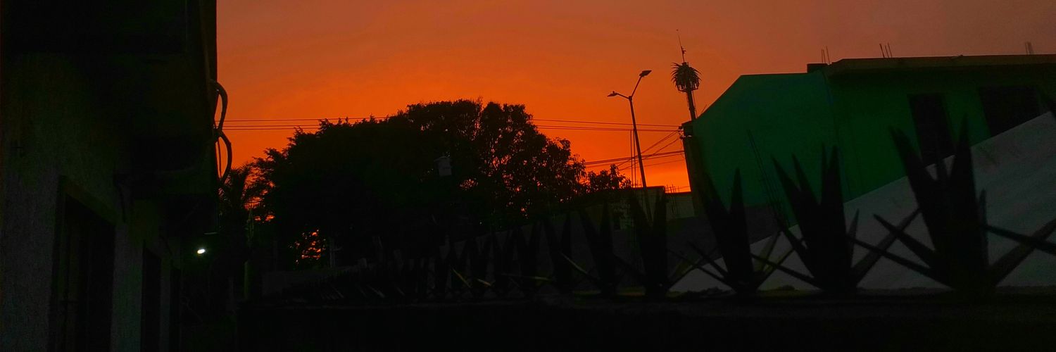 stfplis's profile banner image