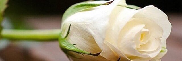 Hamdan663's profile banner image