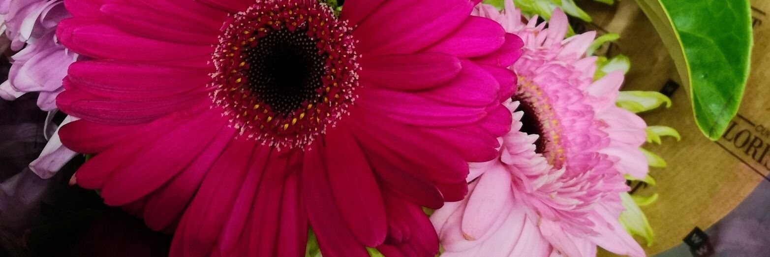 Asseco_M's profile banner image