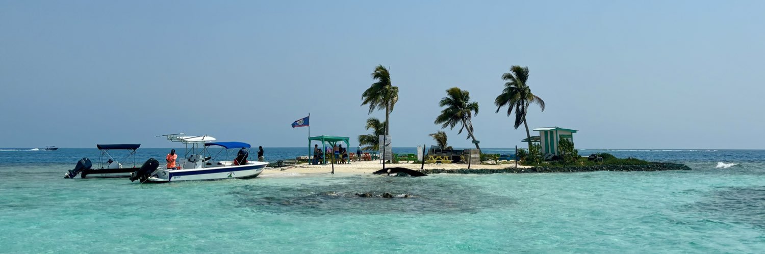 Trace Van Wyk banner