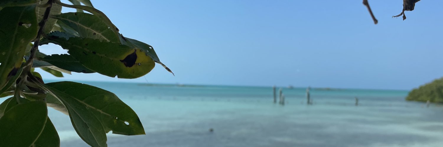 raul_tadeo's profile banner image