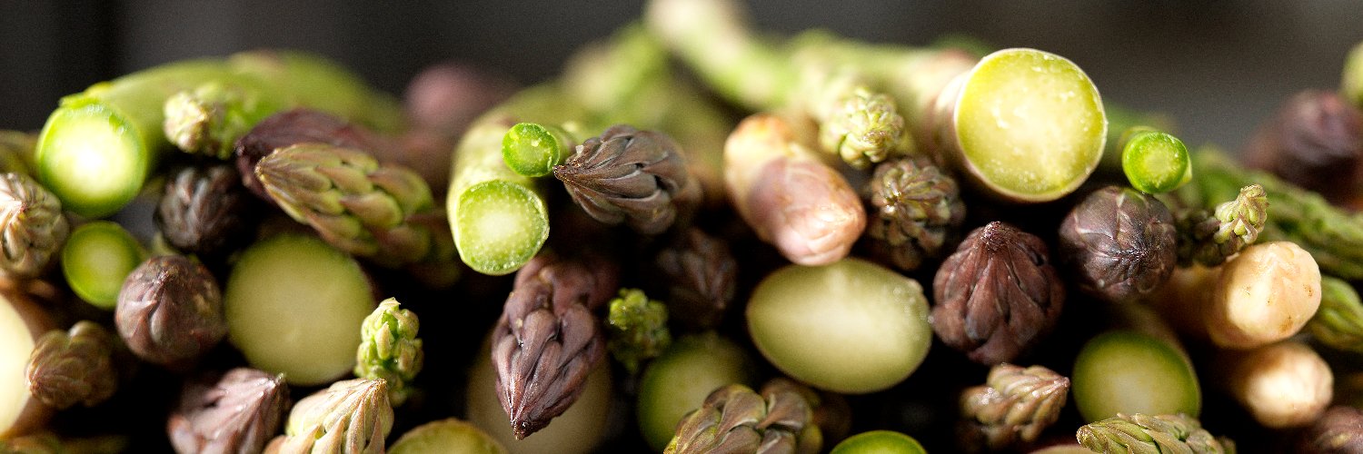culinaryphoto's profile banner image