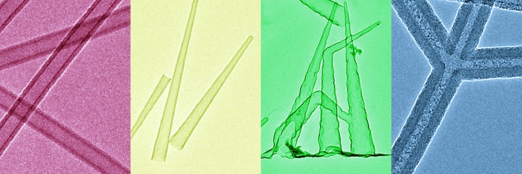 Brian Timko Laboratory banner