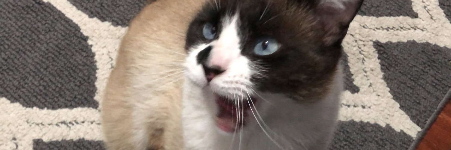Assenav_x's profile banner image