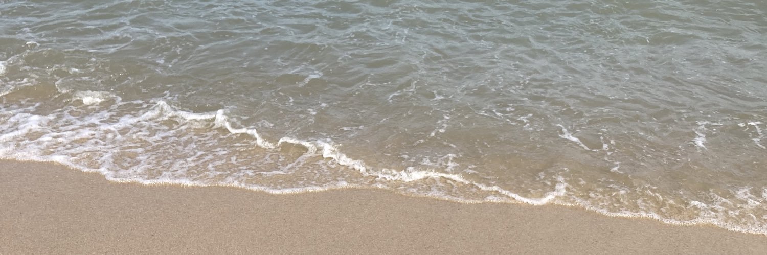 nzfjsp's profile banner image