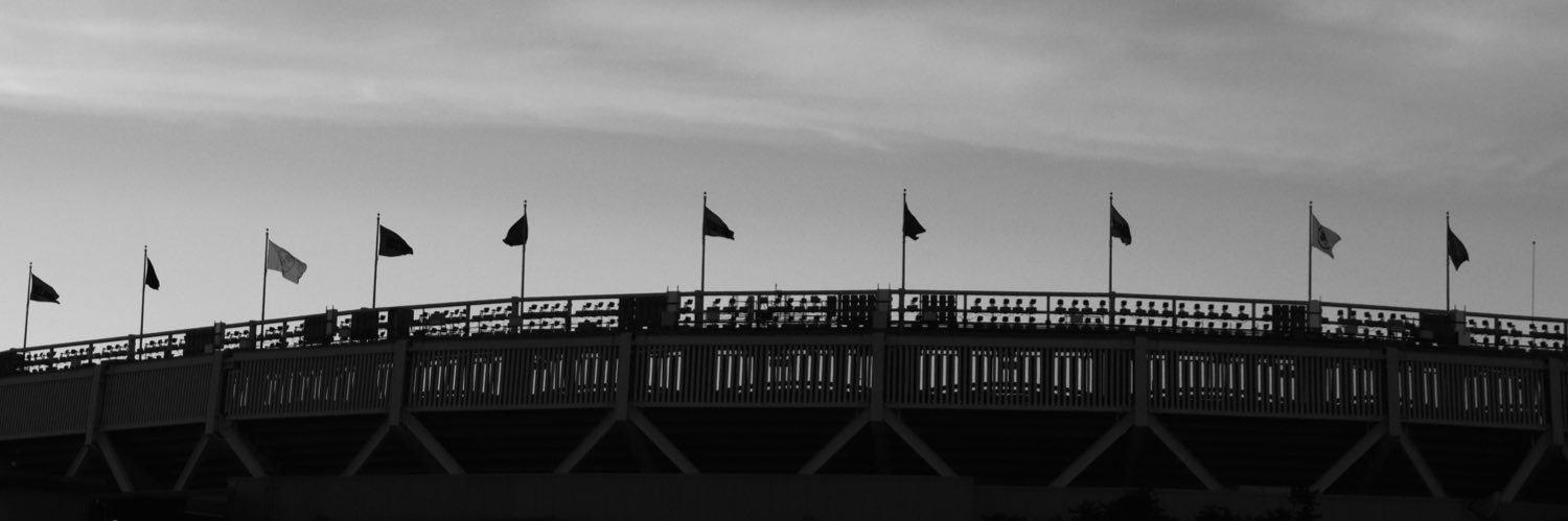 A.D. banner