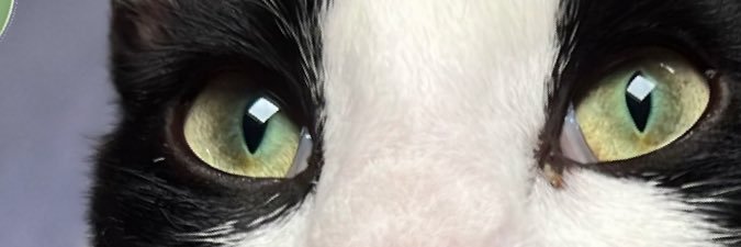 electr0nlibre's profile banner image