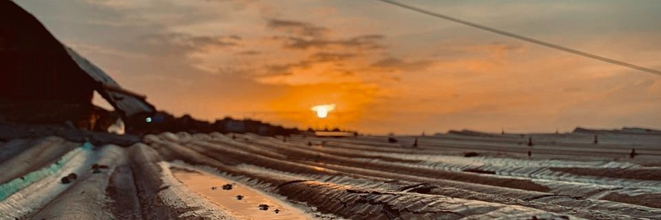 young_xans's profile banner image