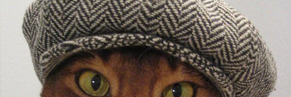 GregPatel's profile banner image