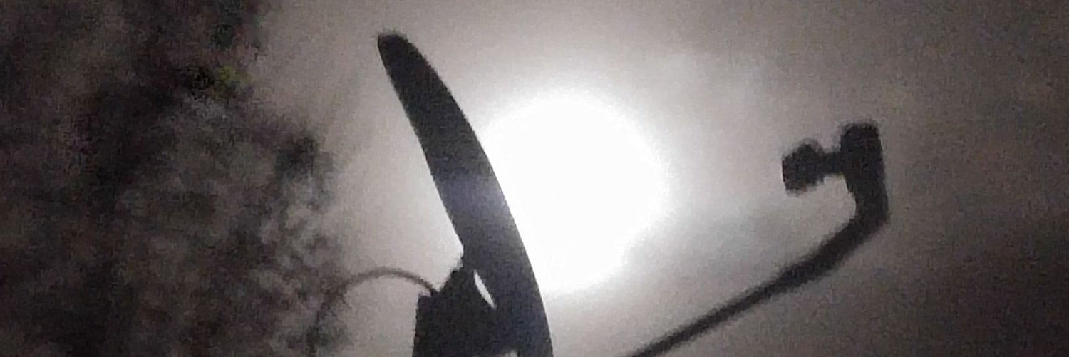 MagicwolfPuff's profile banner image