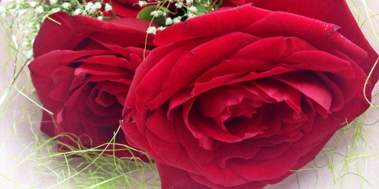 bellaasavrina's profile banner image