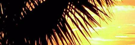 2_feitos's profile banner image