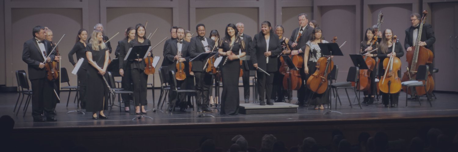 Santa Cecilia Orchestra banner