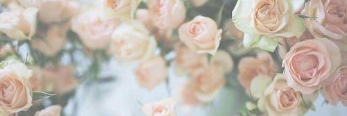 LauraSteketee's profile banner image