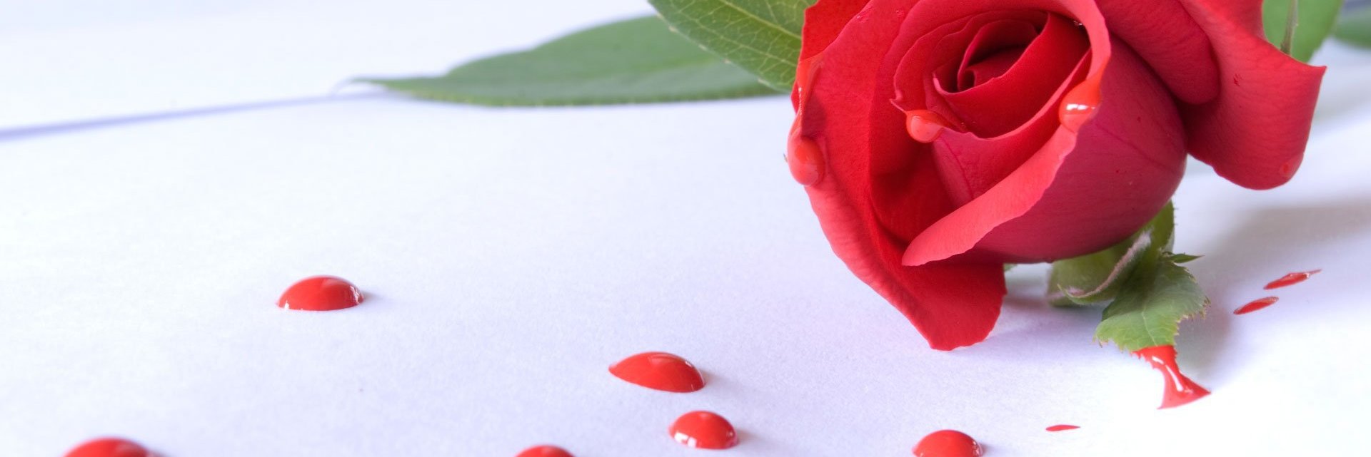 💔💔مـهاجـر 💔💔 banner