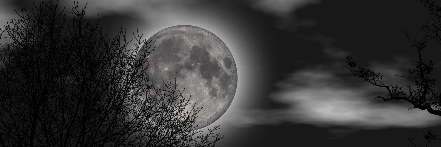GeorgeMahapa's profile banner image