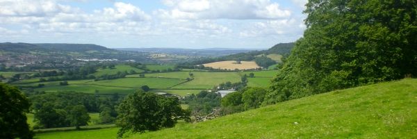 FSB_EastDevon's profile banner image