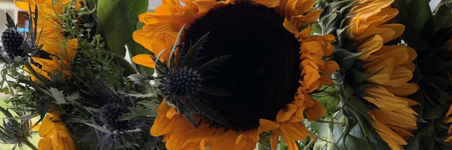 Natasha Sabin banner