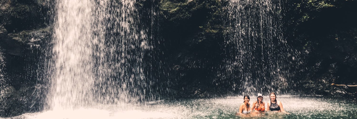 Cass_Basss's profile banner image