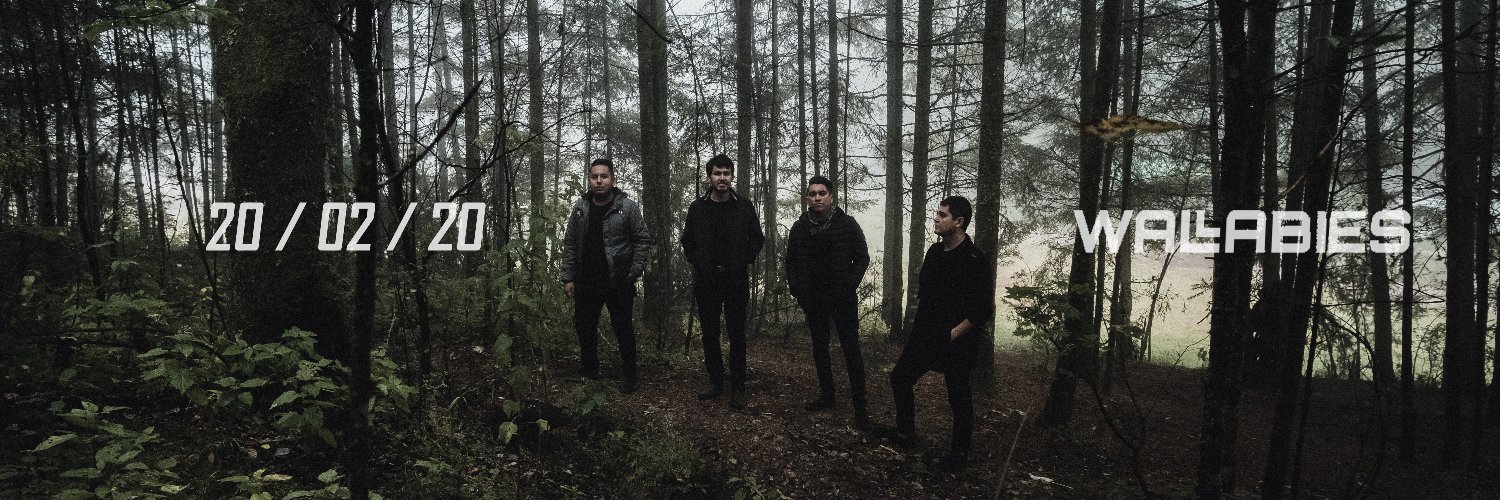 WallabiesMX's profile banner image