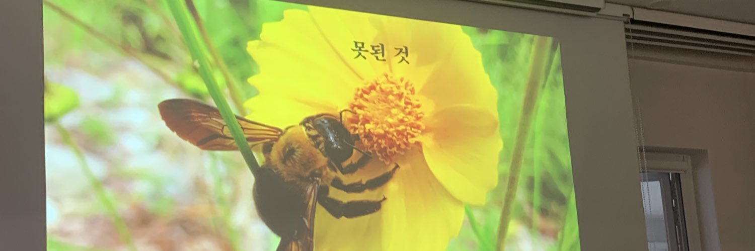 jwieut's profile banner image