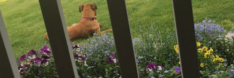 K_Peck997's profile banner image