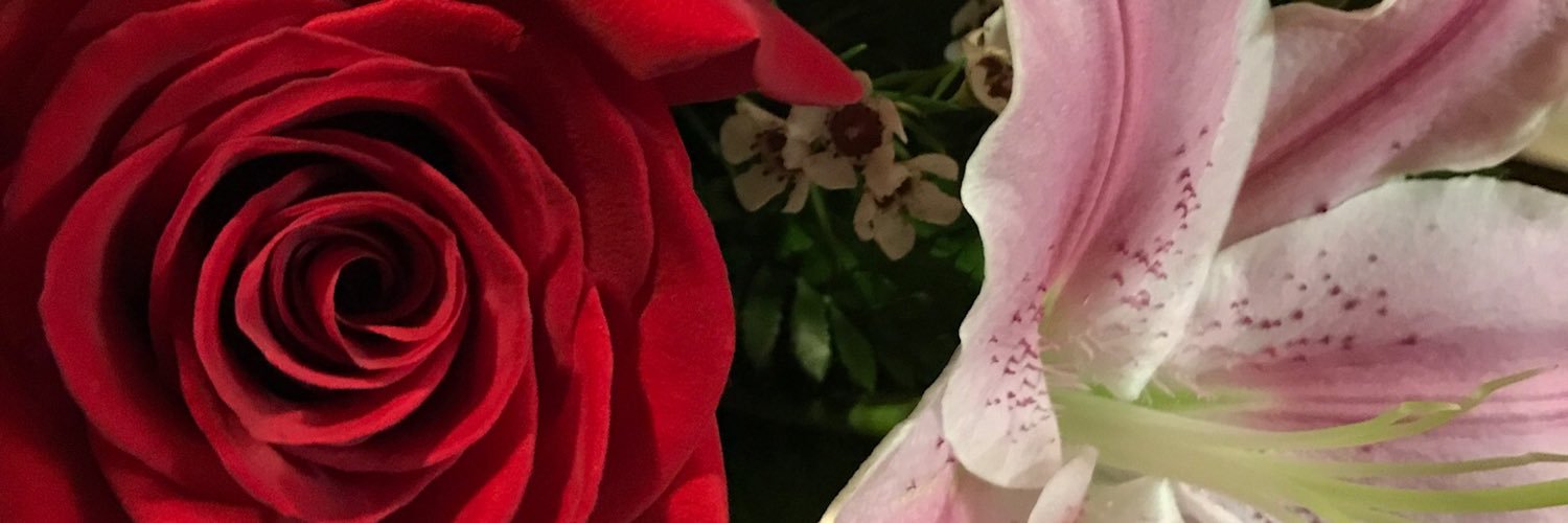 JohnnaBurrows's profile banner image