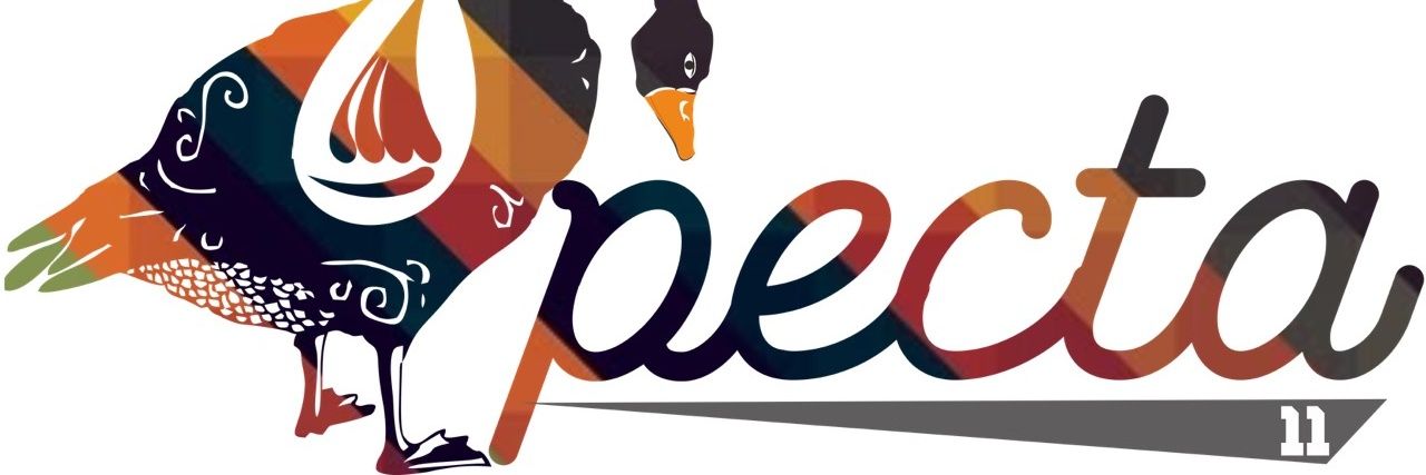 SpectaElfaca's profile banner image