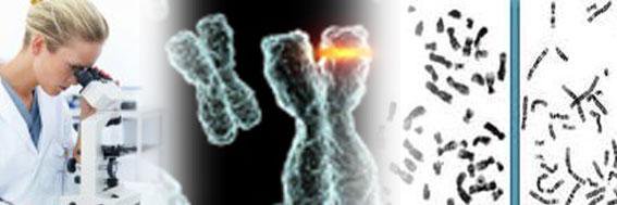 GenialHelix1's profile banner image