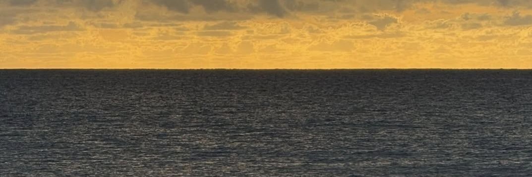 sofiantelo_'s profile banner image