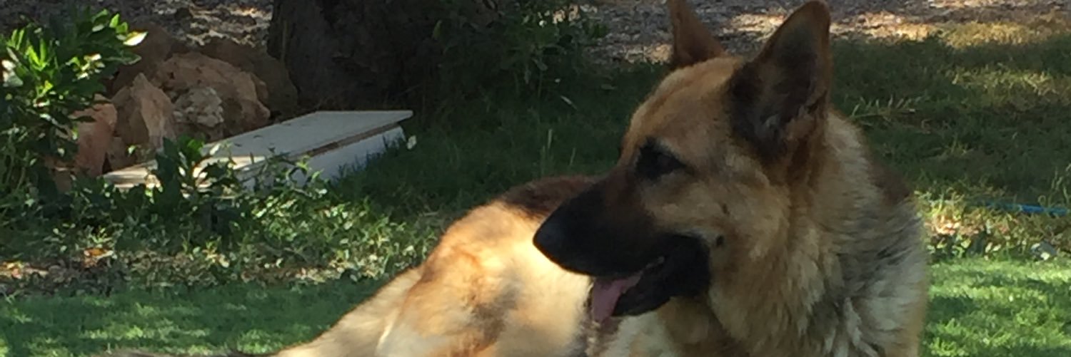 noeminavmar's profile banner image
