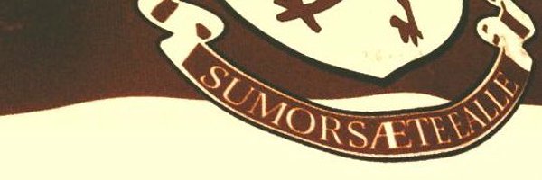 Somerset County RFU Profile Banner