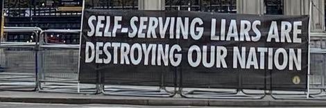 🌻Noisy Fury #TreeHugger #SaveOurSpecies🐝🦊🦡🦔💚 banner