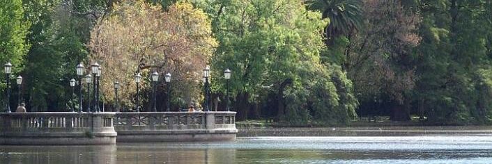 anitabuffo's profile banner image