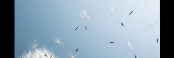 Carbotopia Profile Banner