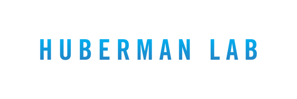 hubermanlab Profile Banner