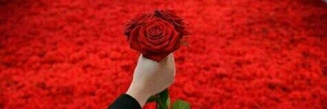 florgh65's profile banner image