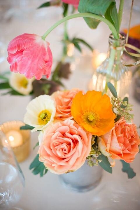 Jennifer_Fermin's profile banner image