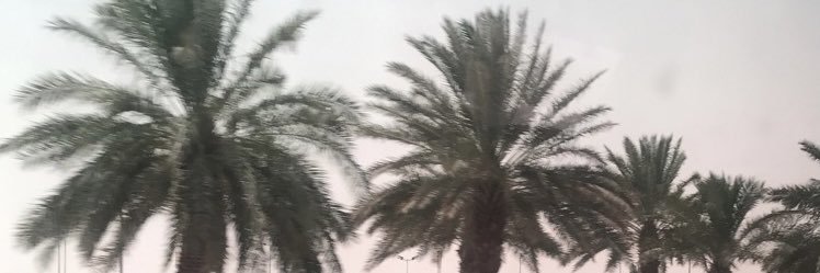 ryofhd's profile banner image