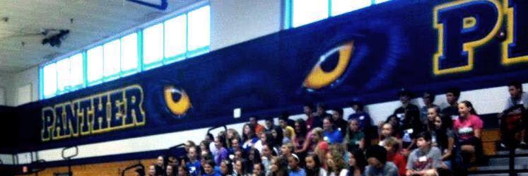 PanthersSF's profile banner image