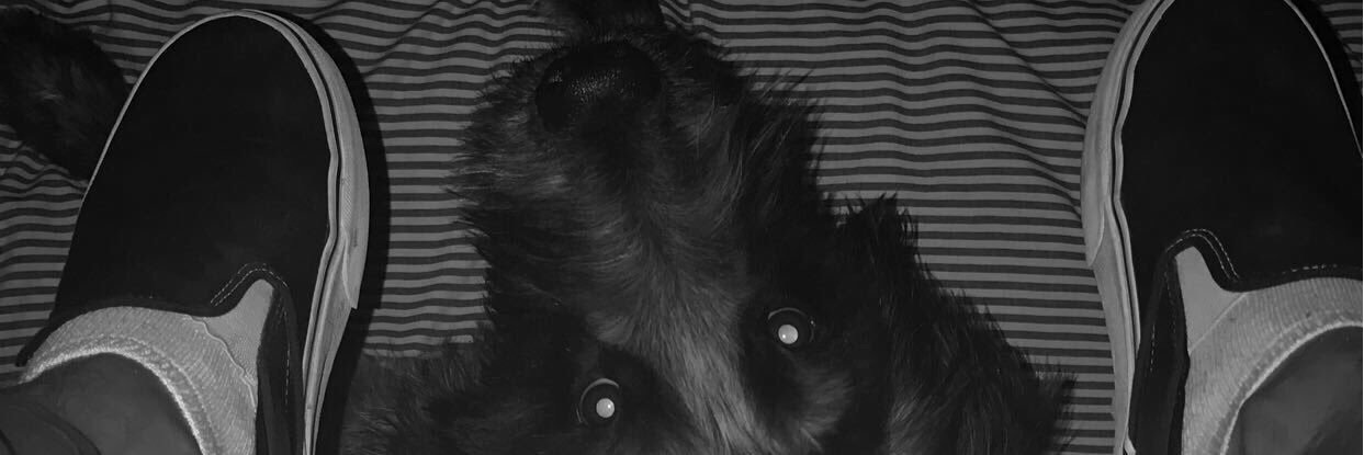 alextcortez's profile banner image