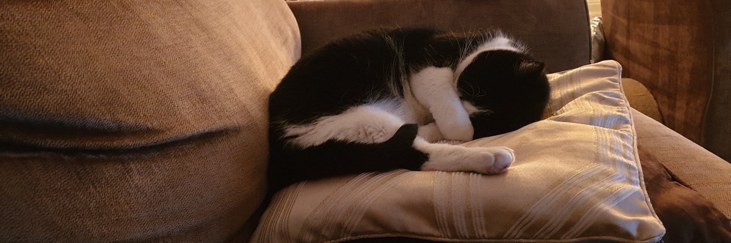 Rachel Dodd-Smith banner