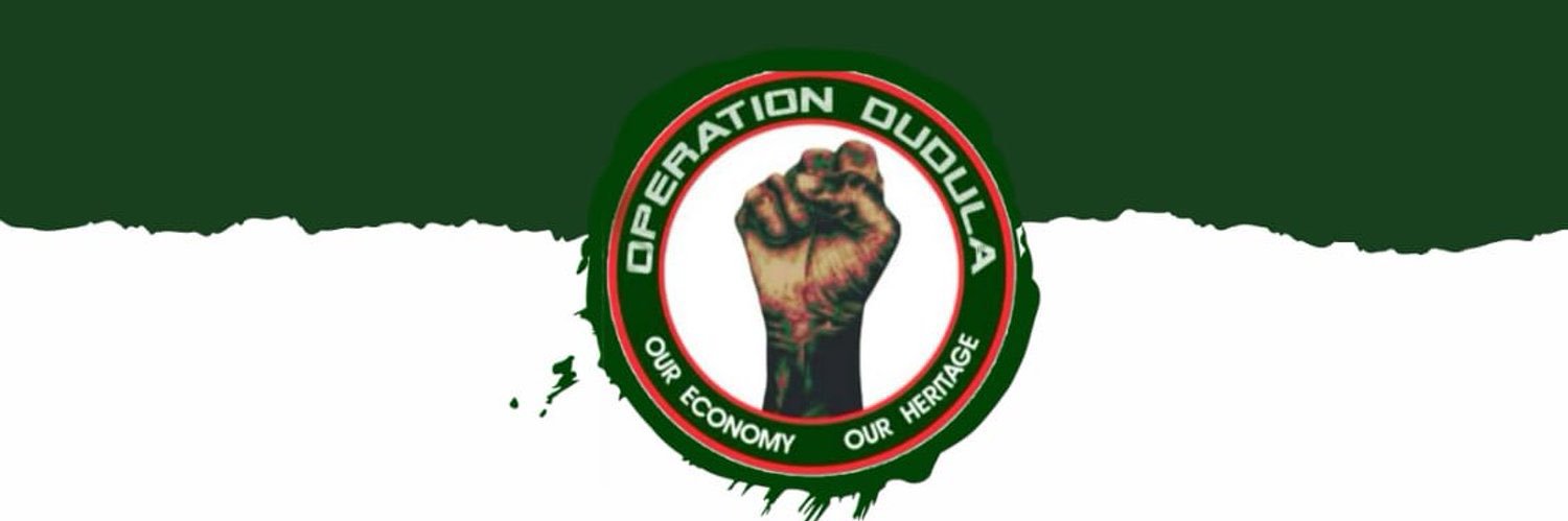 Operation Dudula's banner