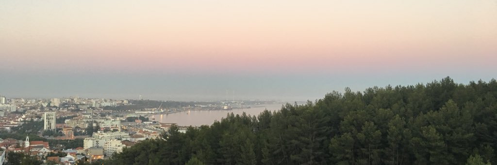 catarinadcb's profile banner image